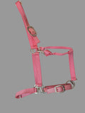 Pink horse halter with metal buckles on a white surface