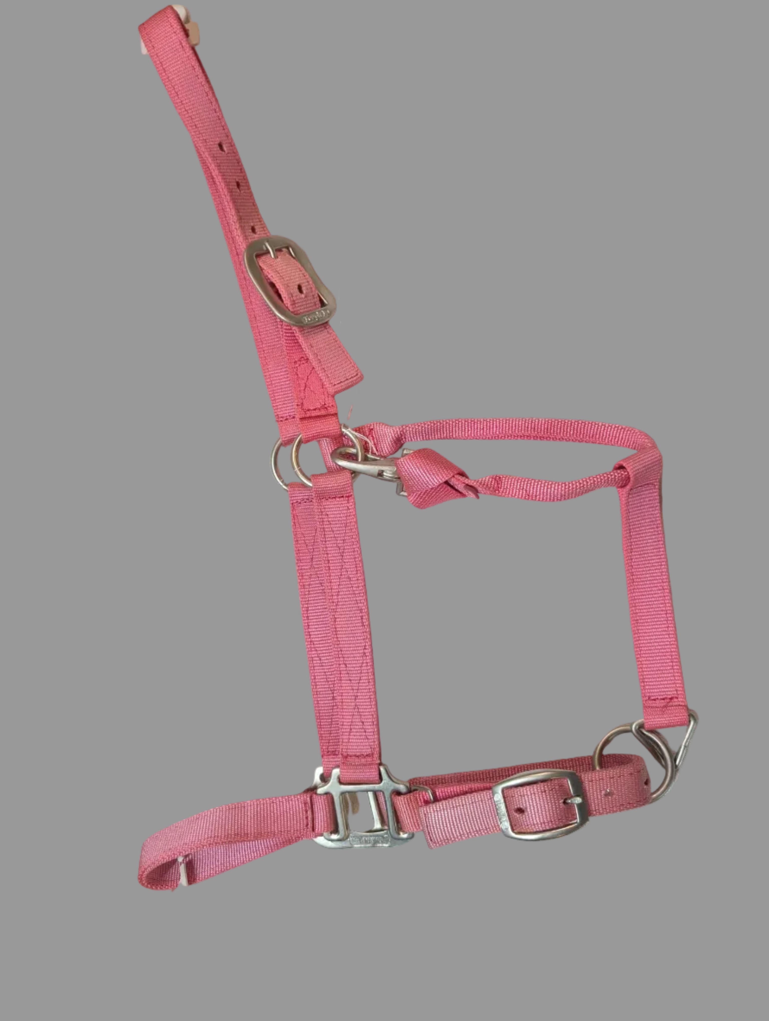 Pink horse halter with metal buckles on a white surface
