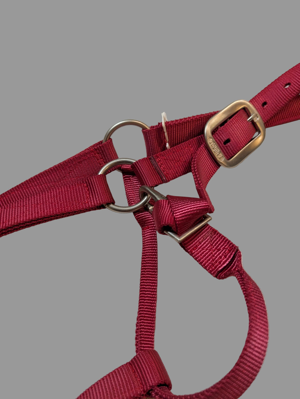 Pink up close view of horse halter
