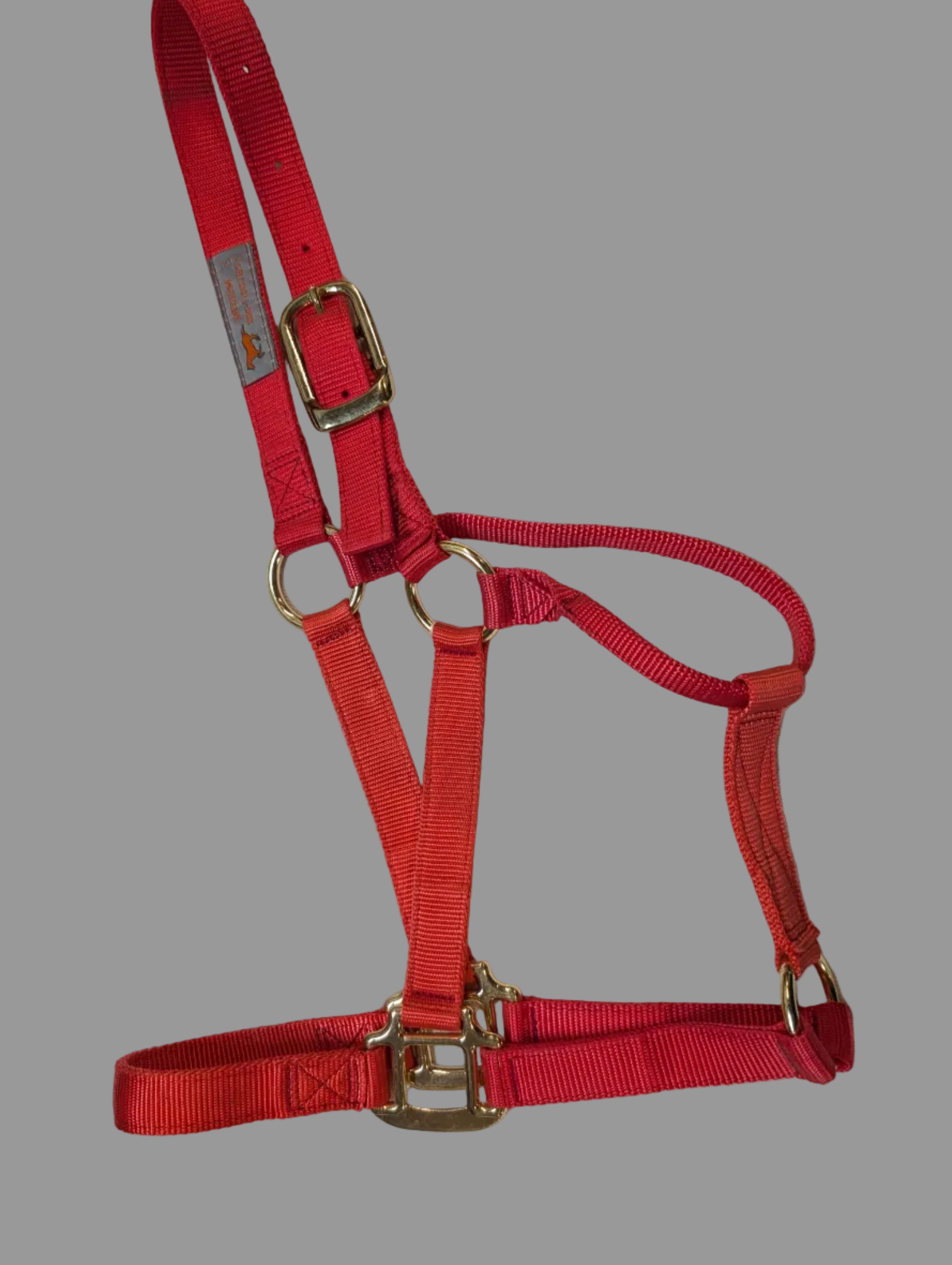 Pink horse halter with gold hardware on a white background
