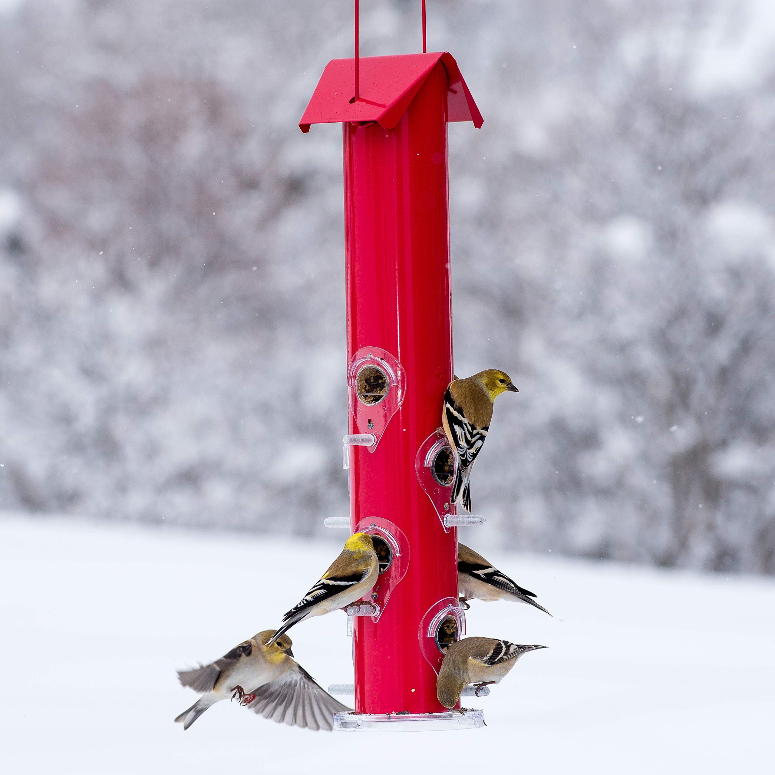holds up to 1.5 lb of seed so you’re birds will always be in good supply.