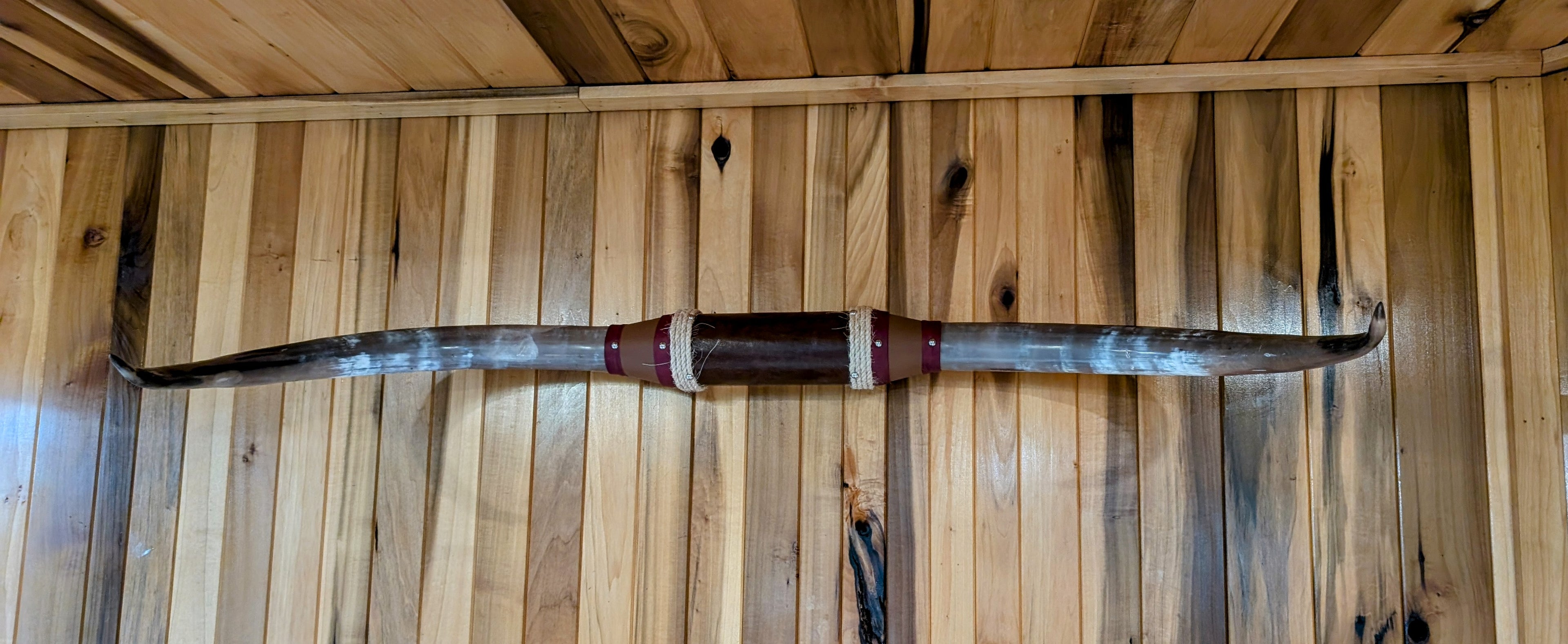 Polished real cow horns displayed on a rustic wooden wall