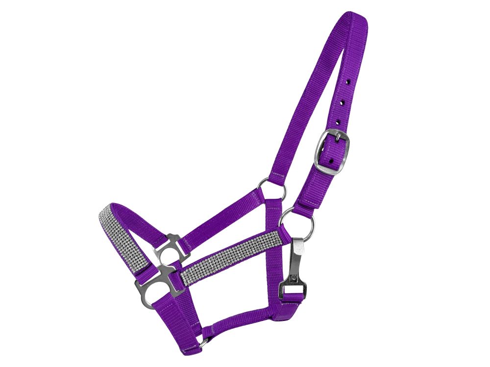 Purple Showman premium double-ply nylon pony halter with crystal rhinestones on the noseband and cheeks