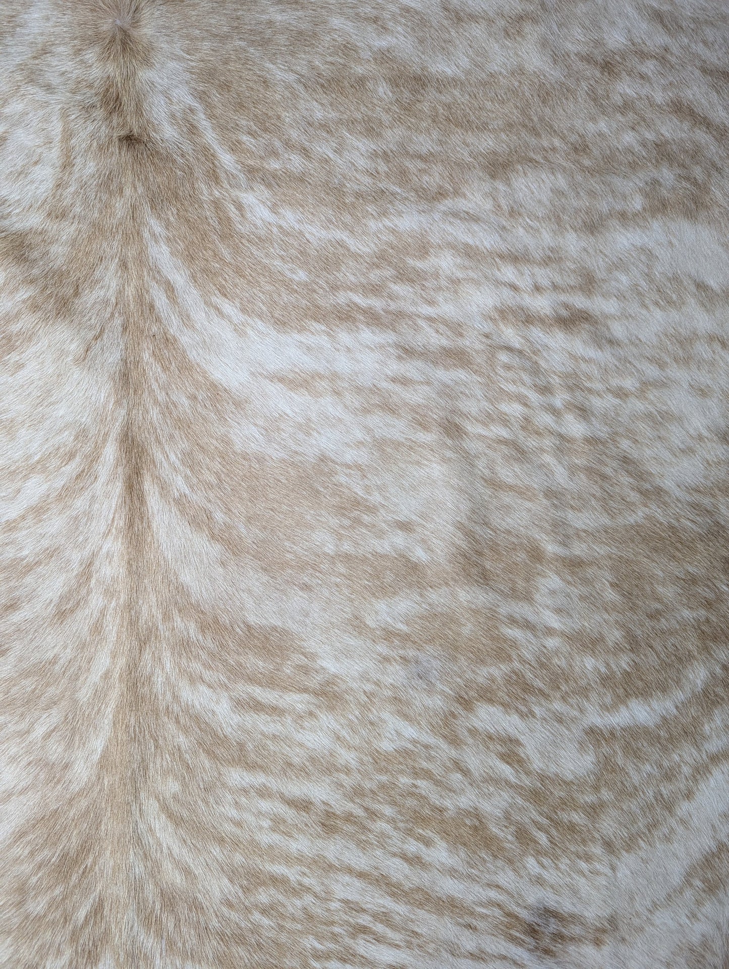 "Popcorn" Full Cowhide