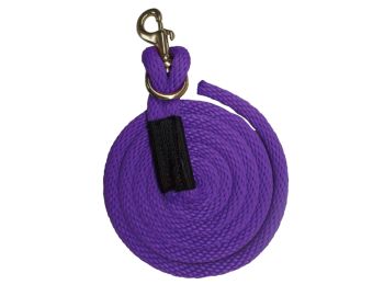 Purple lead rope with a metal clip on a white background