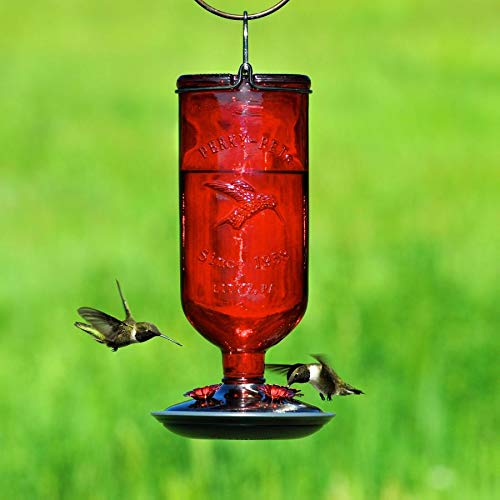 Red hummingbird feeder with two hummingbirds 