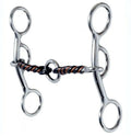 Metal horse bridle bit with a rope on a white background