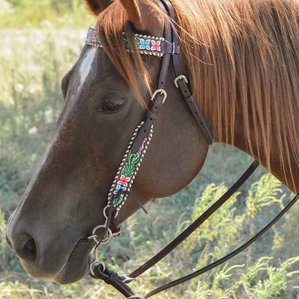 Horse wearing a decorated bridle with a blurred natural background
