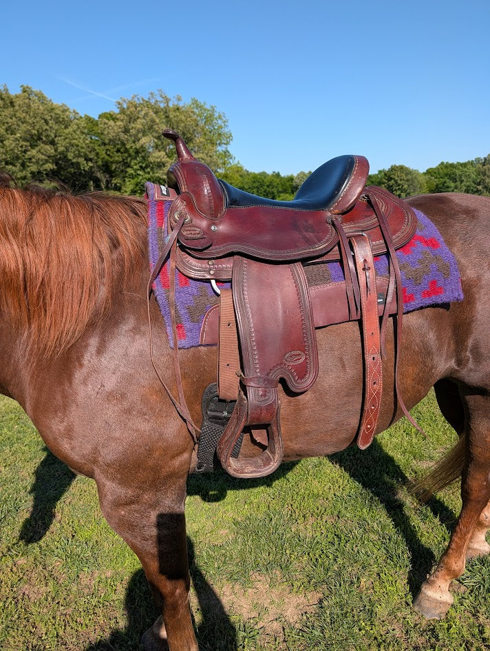 Left view of a horse with a reinsman Trail saddle.