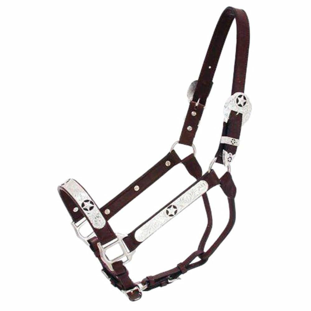 Dark Brown leather show halter with silver on it.