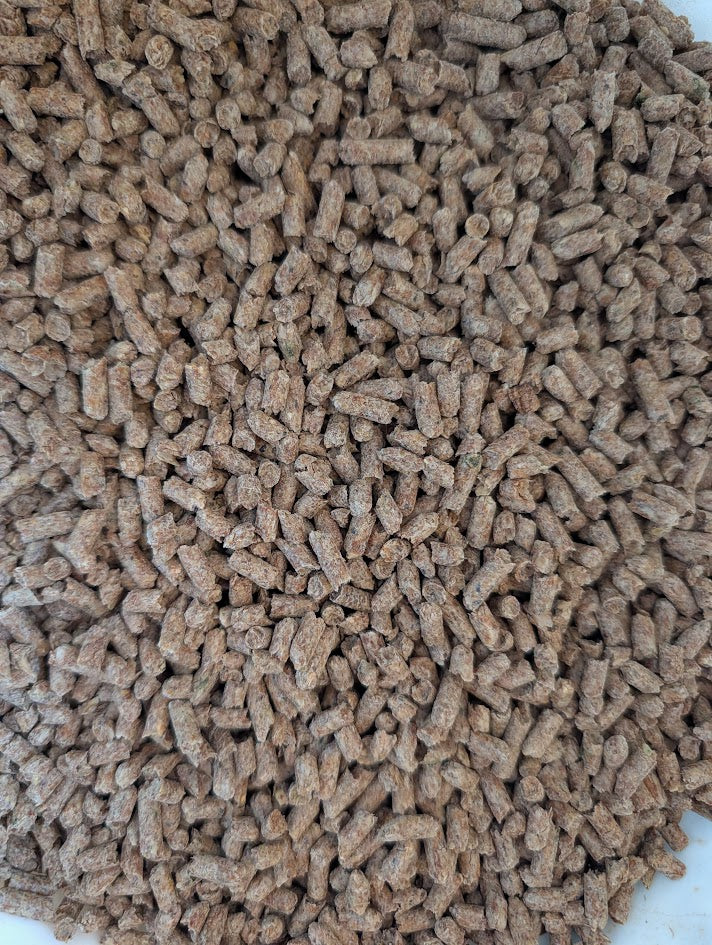 Close-up of Horizon Acres Showman's Pride Senior horse feed.