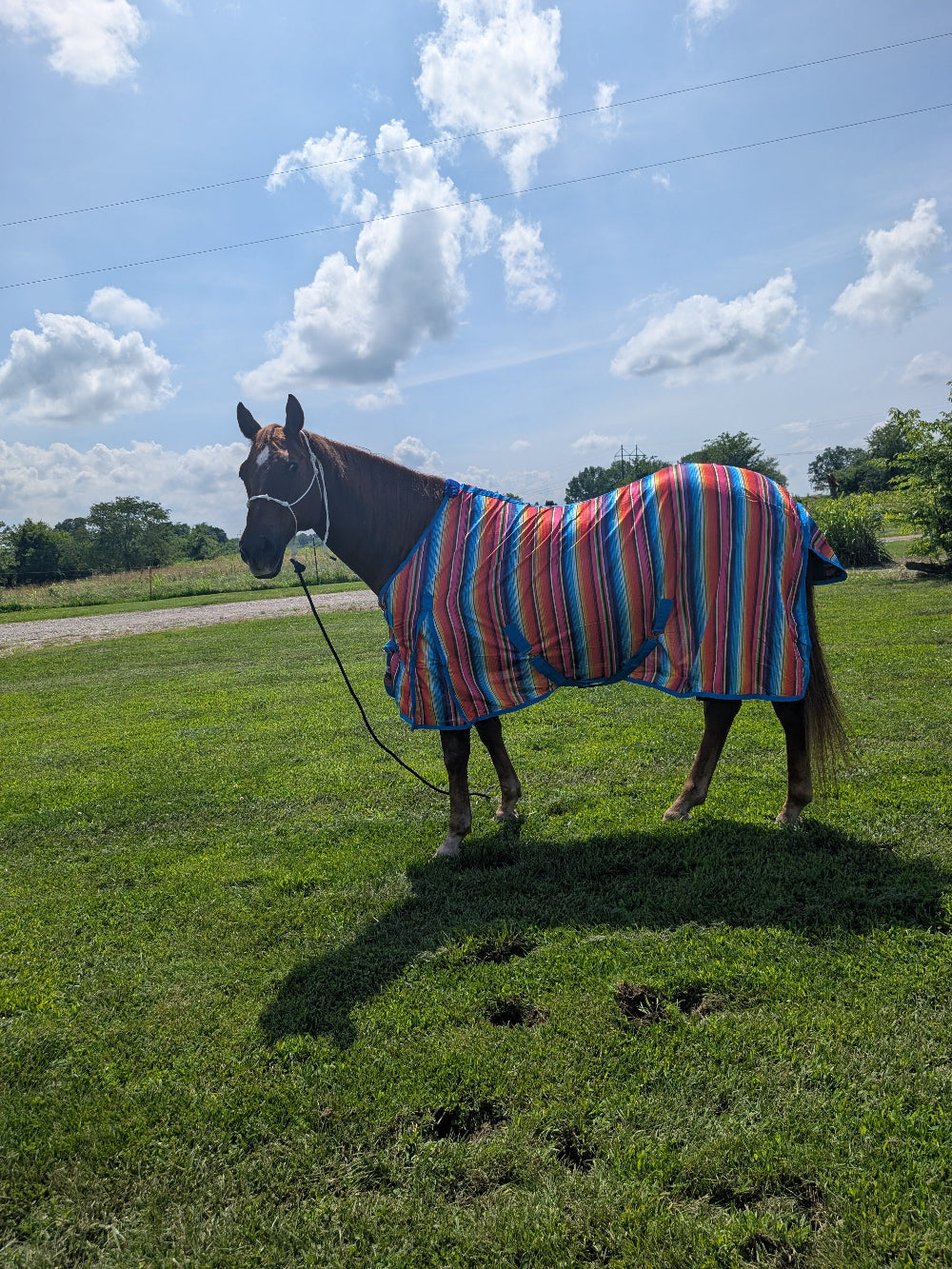 Tough 1 Poly Mesh Summer Sheet in Serape pattern on brown horse outdoors