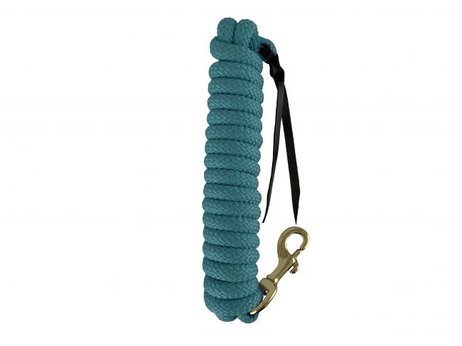 Showman 14' leather end nylon pro braid training lead
