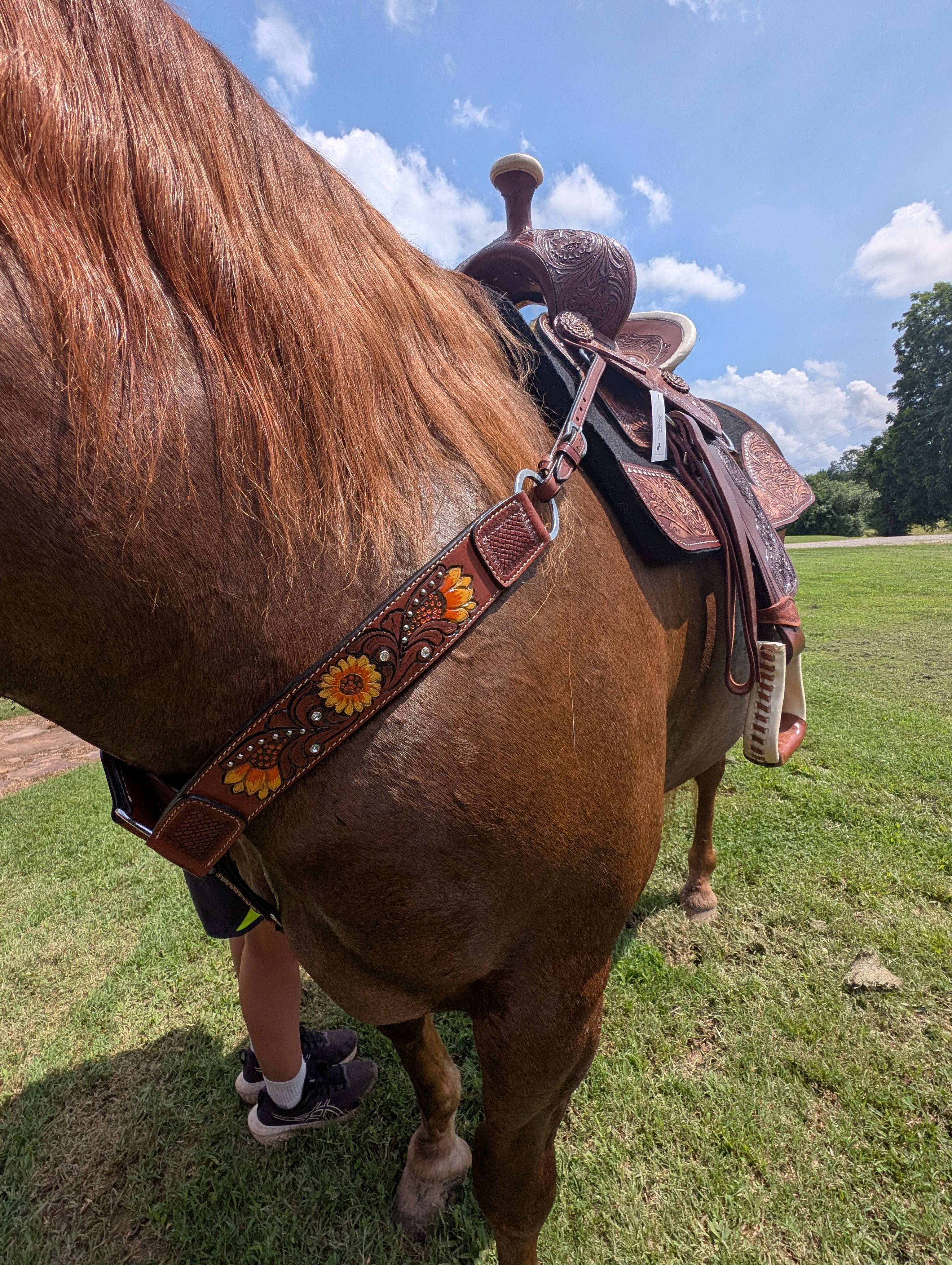 Showman breast collar with sunflowers shown on  a horse