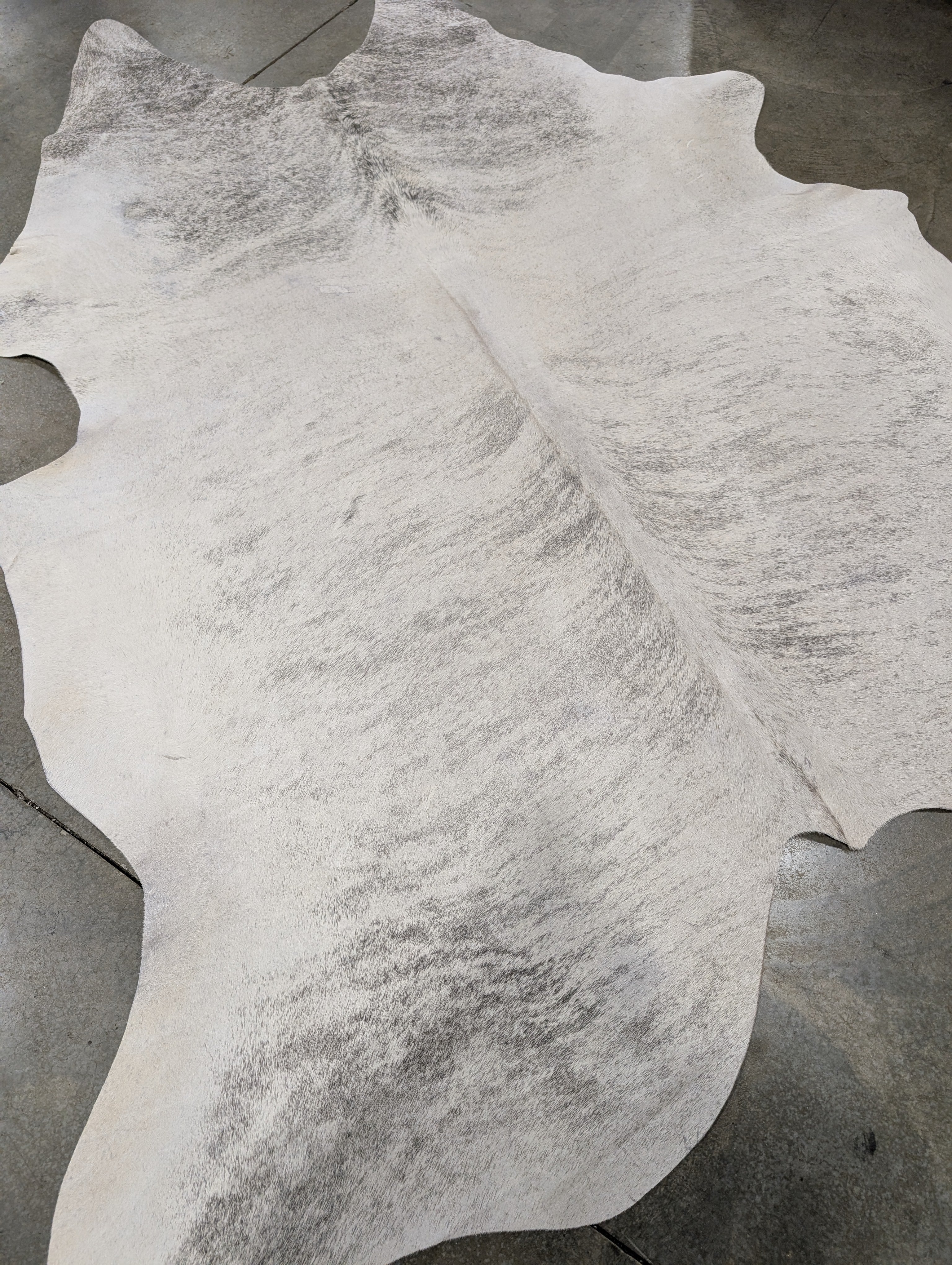 Silver brindle cowhide rug laying on the floor