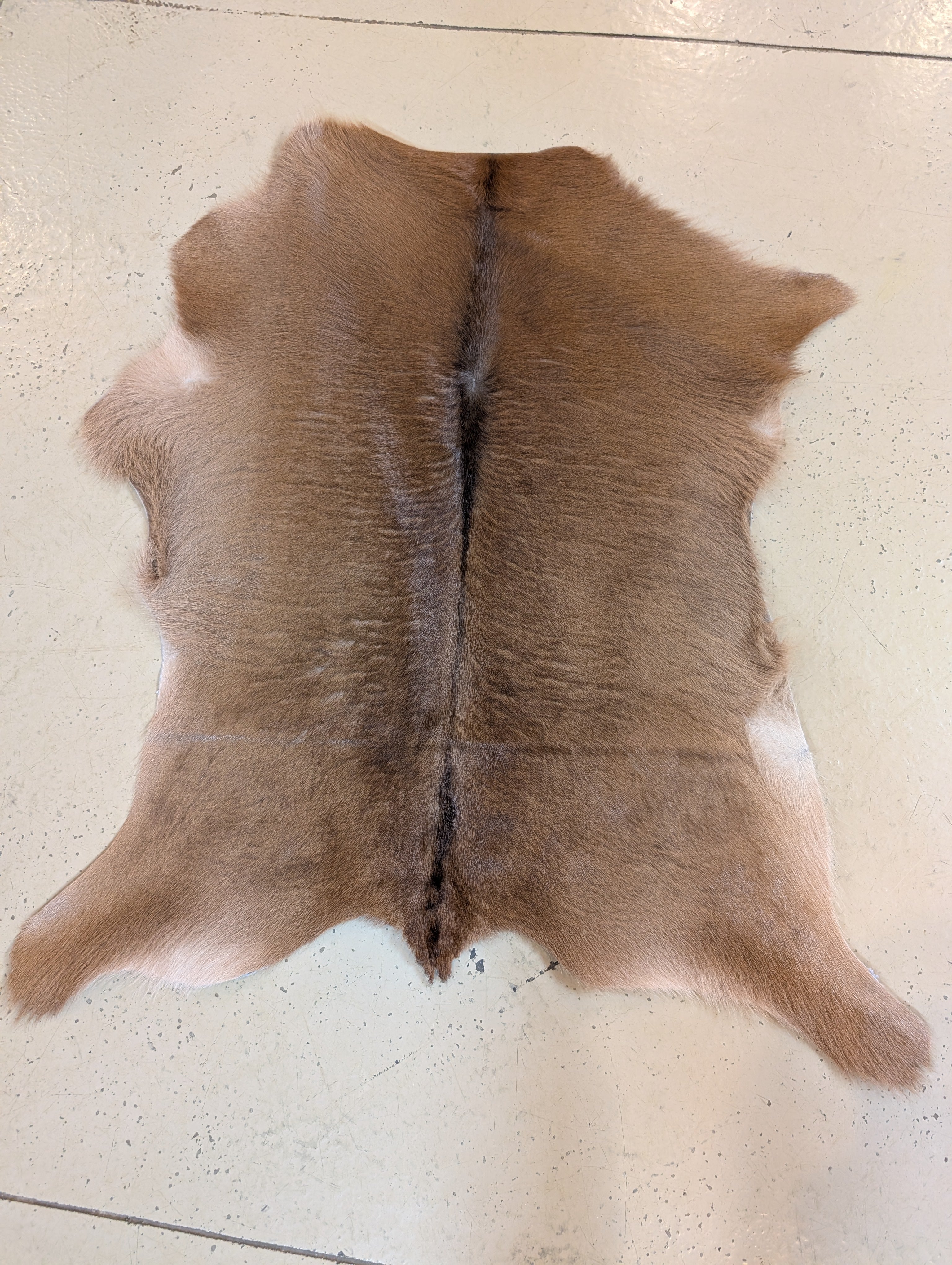 Small Genuine Cowhide Brown Dun