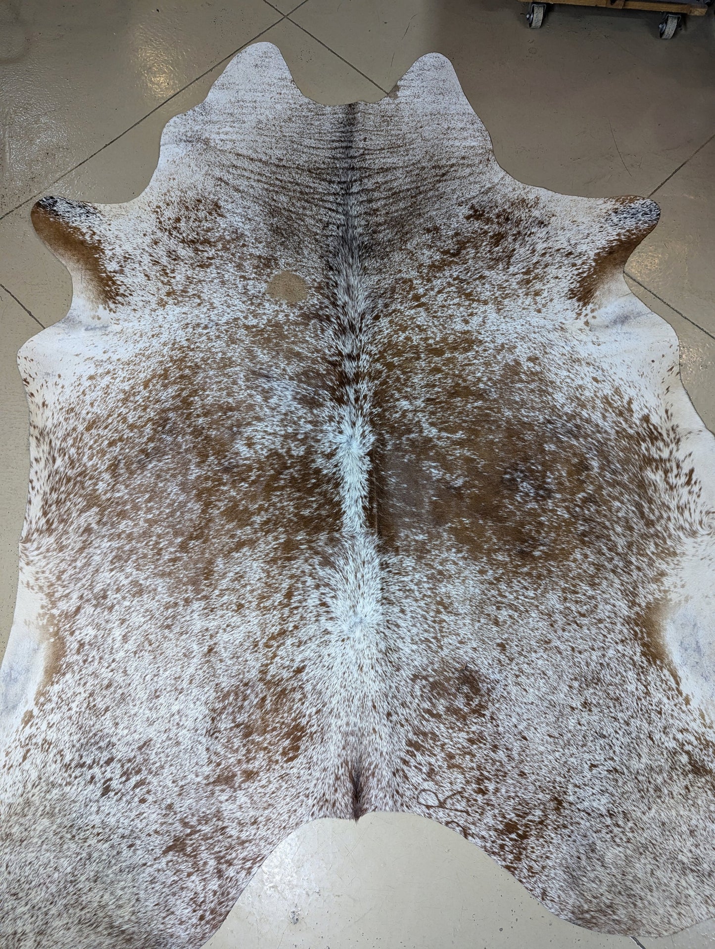 "Sprinkles" Branded  Full Cowhide