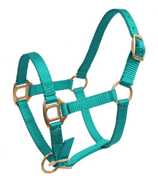 Teal Mini/foal nylon adjustable halter.