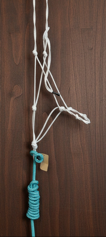 white rope halter with a teal lead