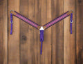 Purple and pink bridle on a white background