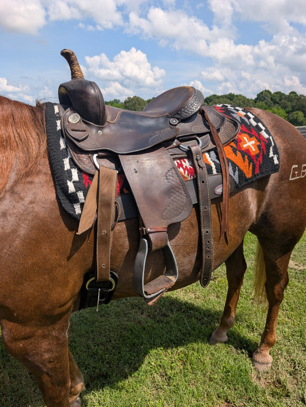 Horse with a western saddle and colorful blanket in a grassy field
