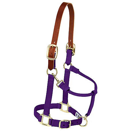 Purple horse halter with brown leather straps on a white background