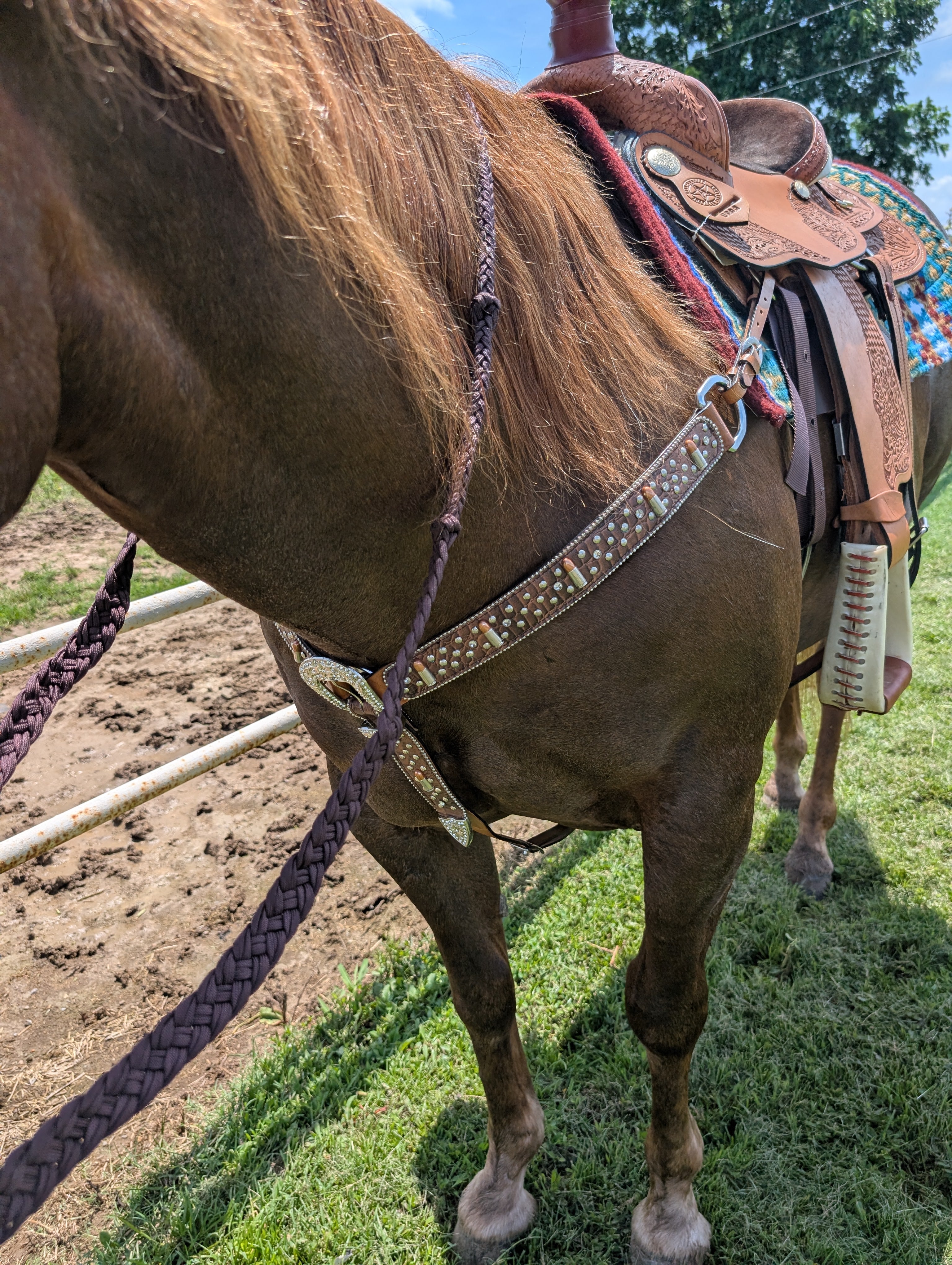 Matching Western tack set for horses with bold silver and copper hardware