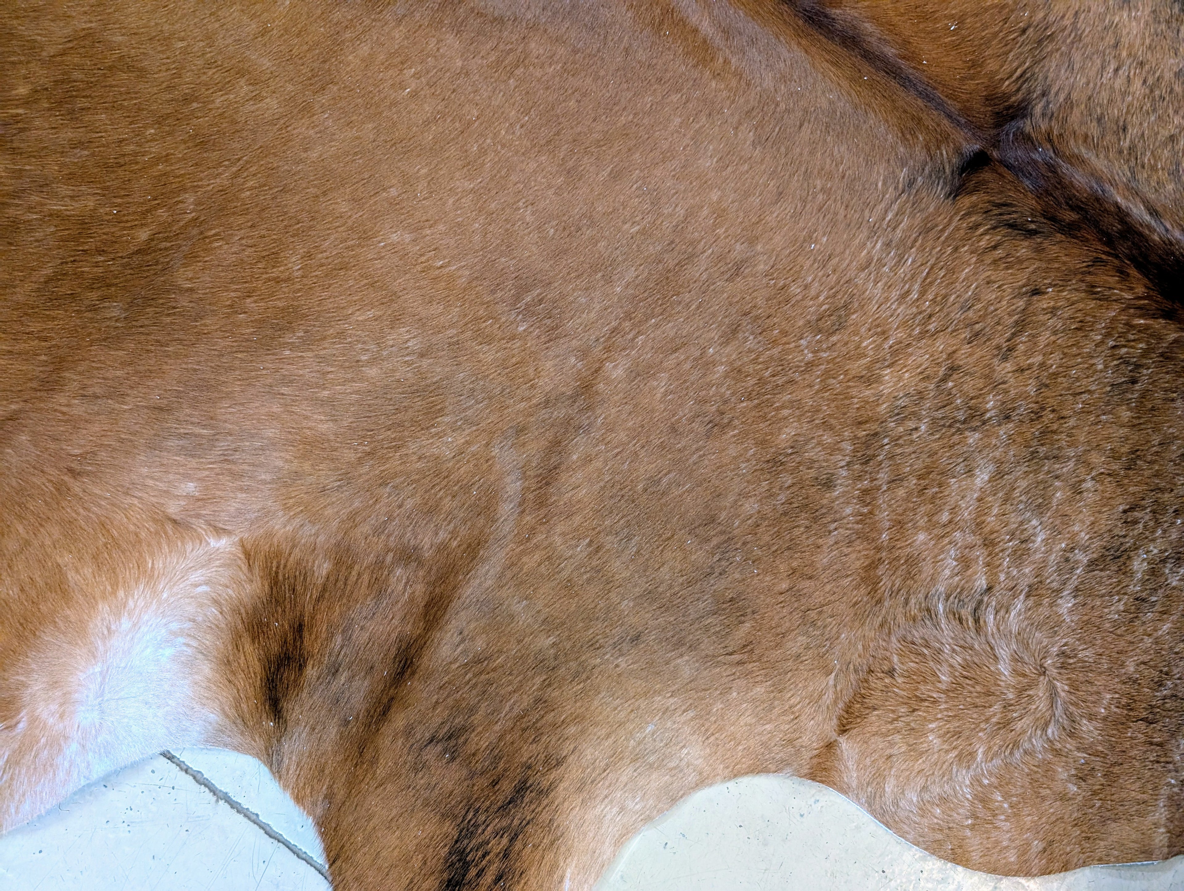 Red brindle leather hide