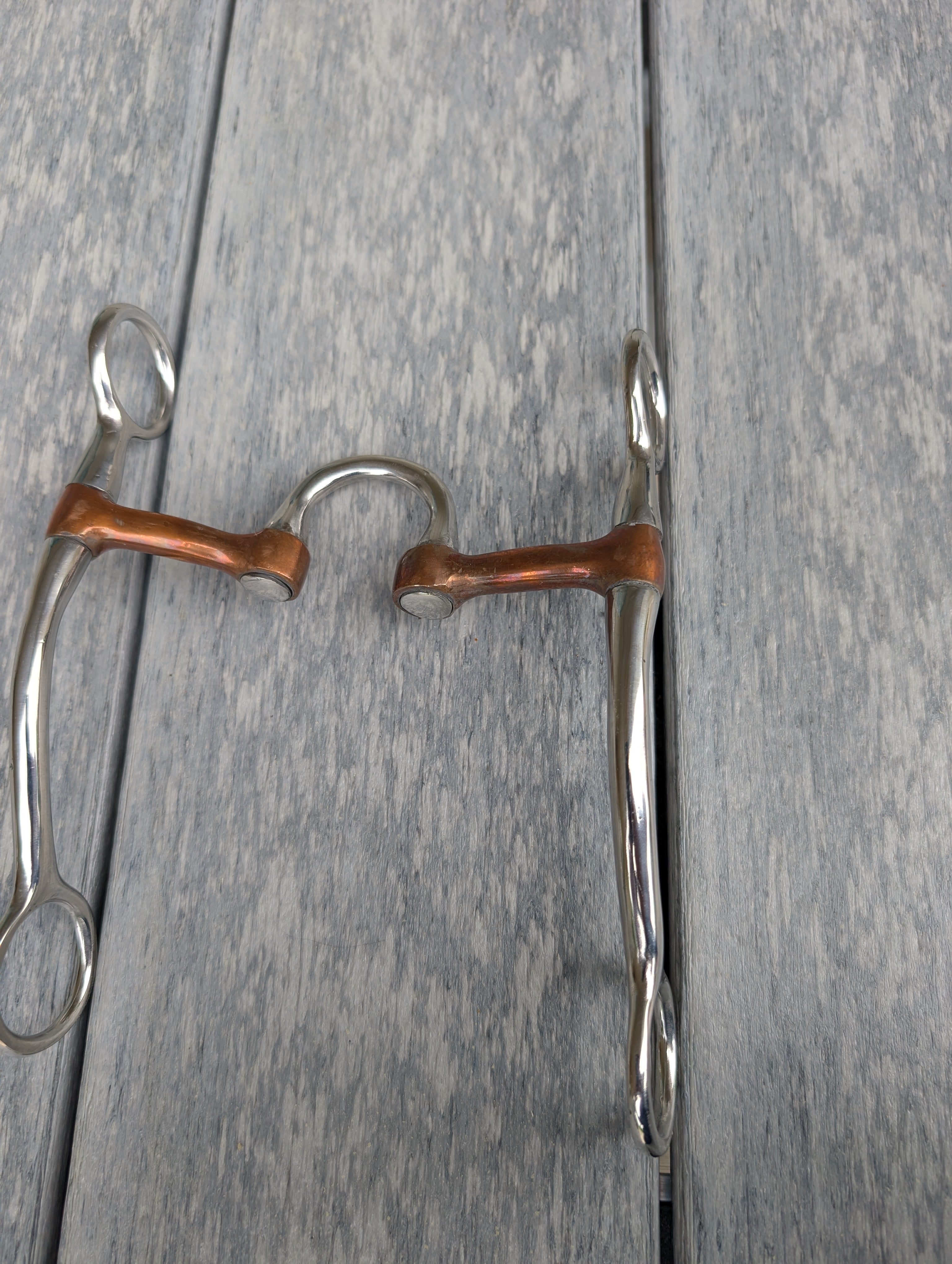 Bit for refined horse control