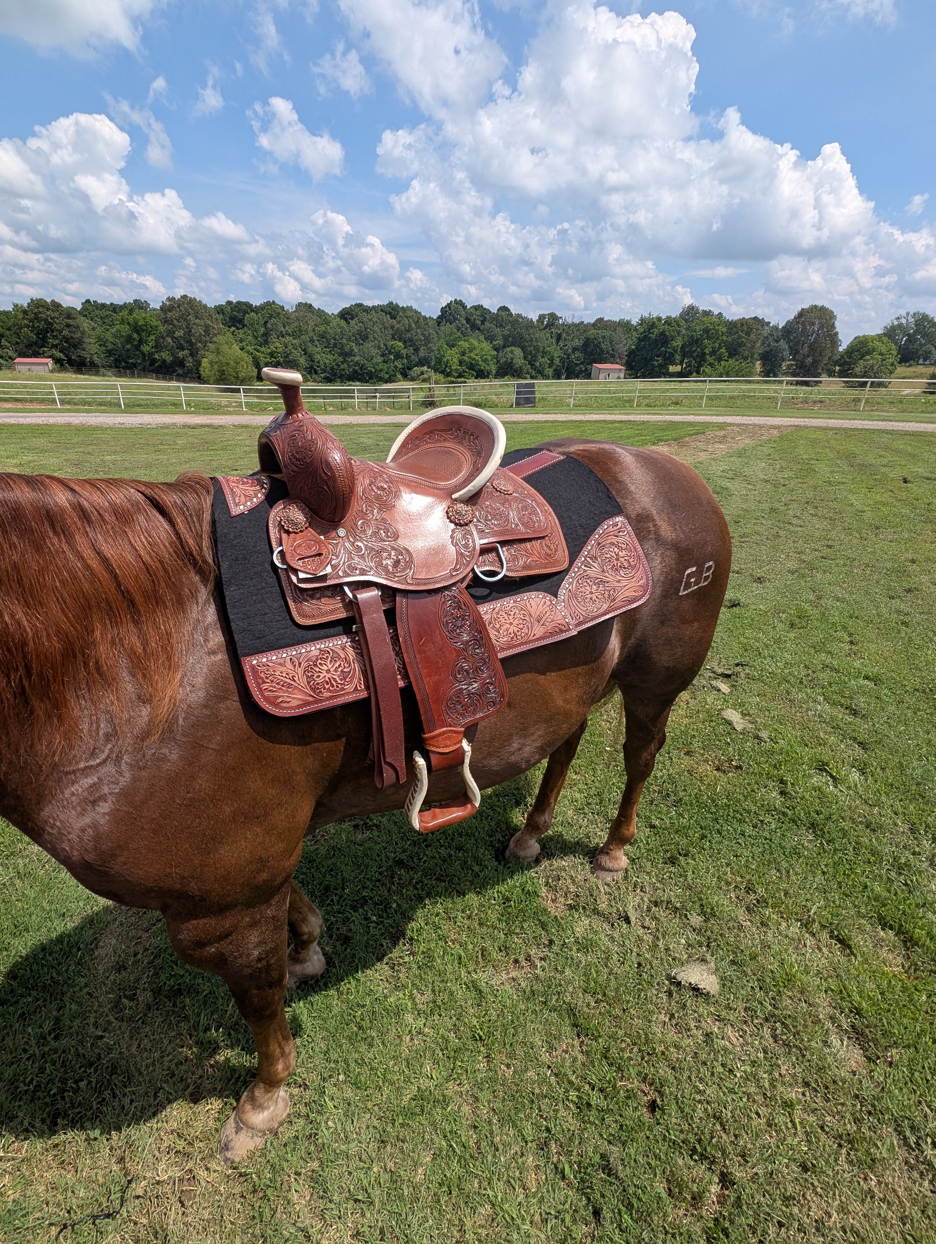 Western kids saddle with an comfortable bicycle seat”