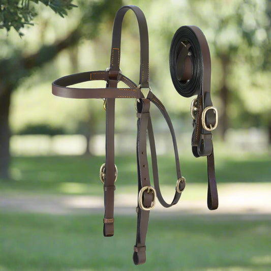 Western brown leather headstall with brass quick change buckles and matching reins