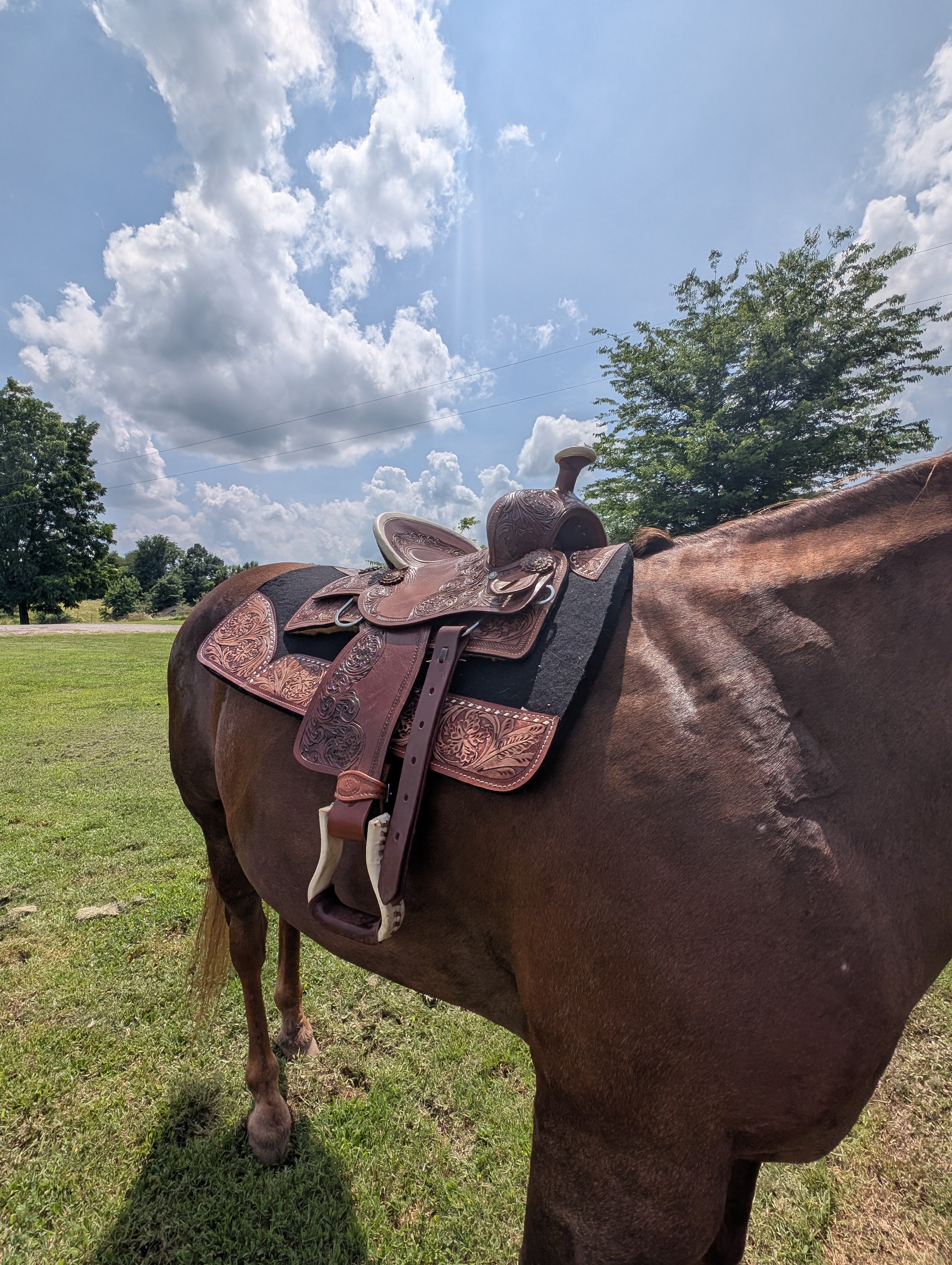 Youth saddle on stand showing floral tooling and leather stirrups