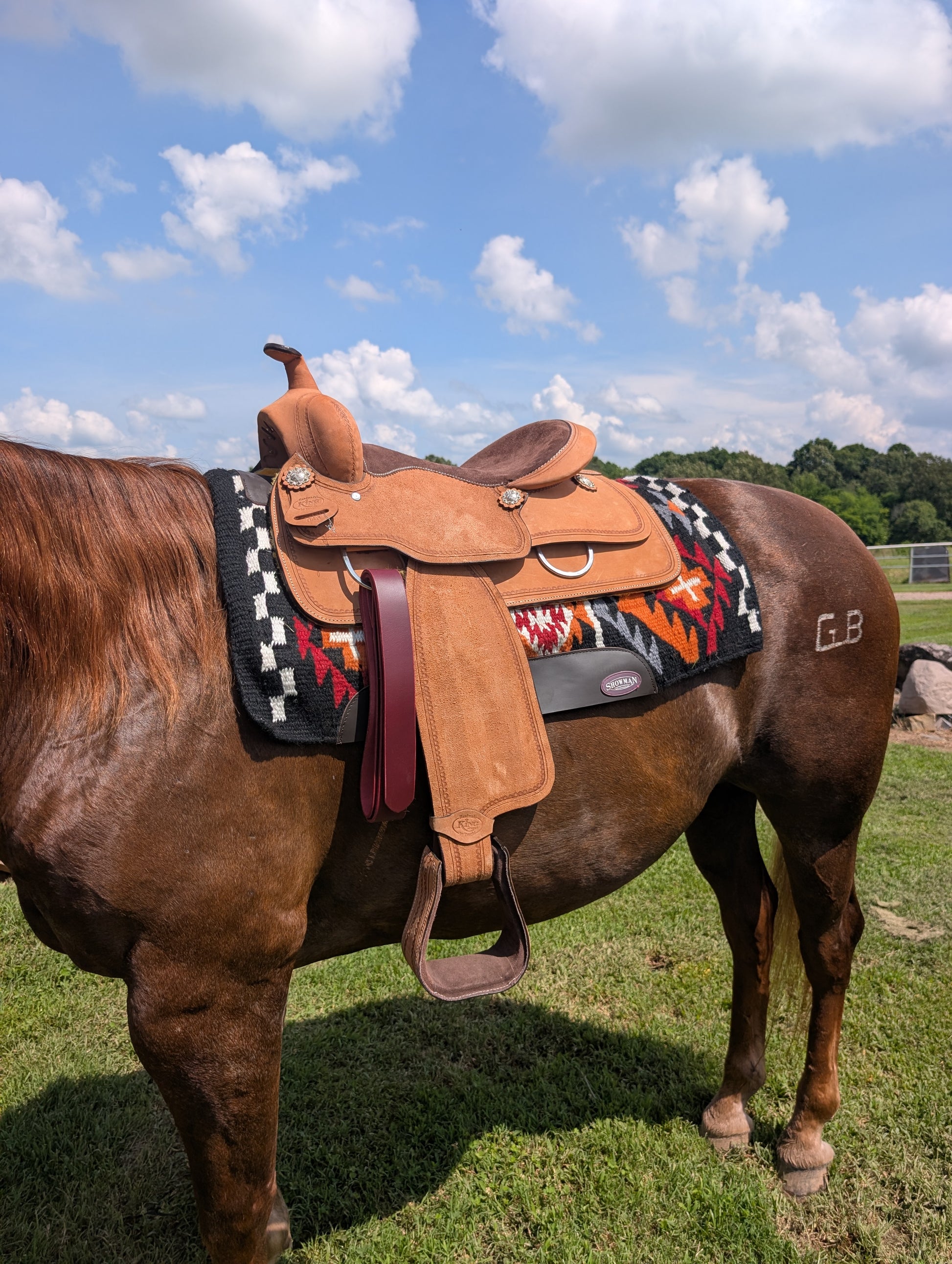 Western trail and pleasure saddle featuring rawhide-covered wood tree and Quick Change buckles