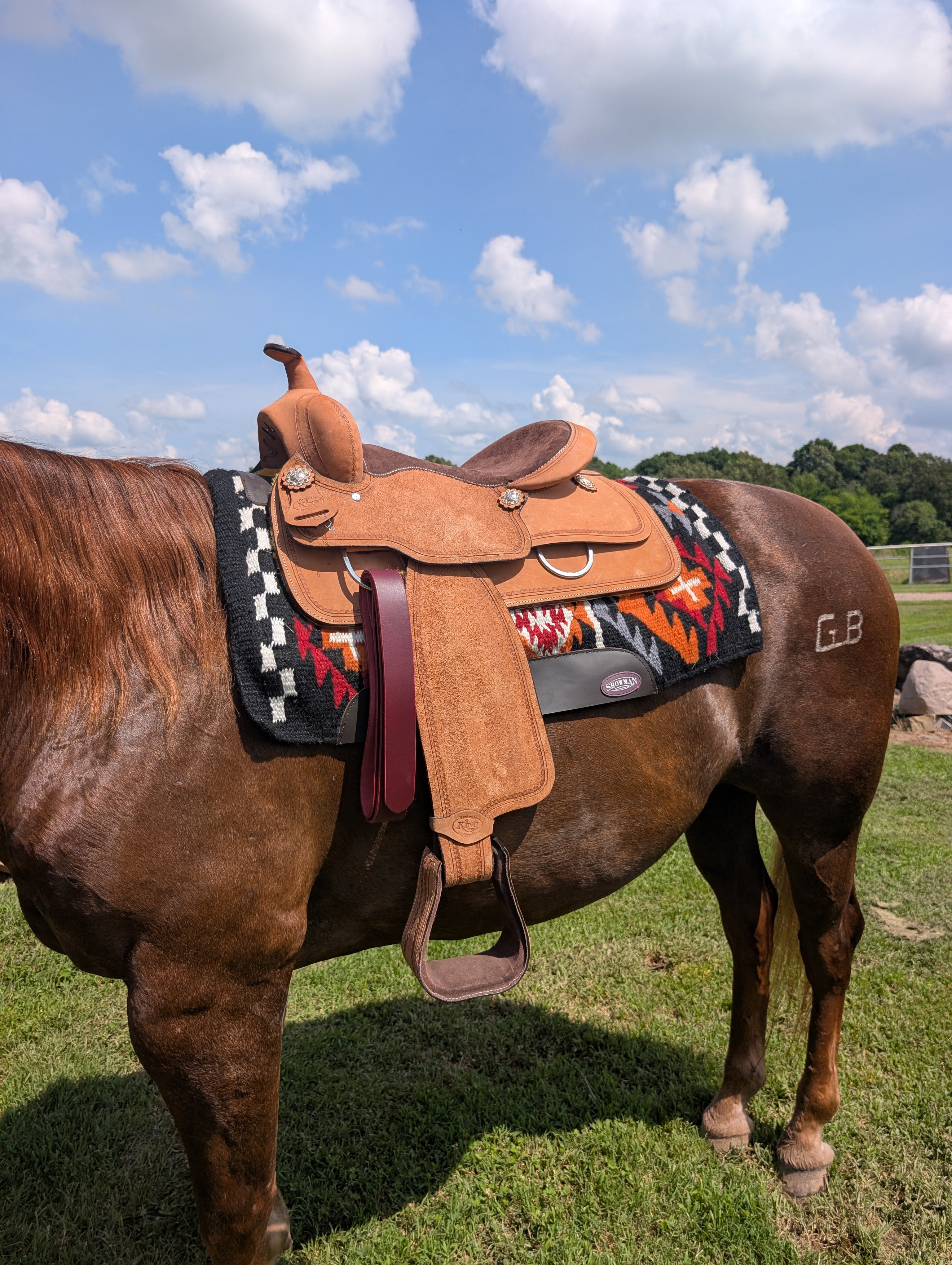 Western trail and pleasure saddle featuring rawhide-covered wood tree and Quick Change buckles
