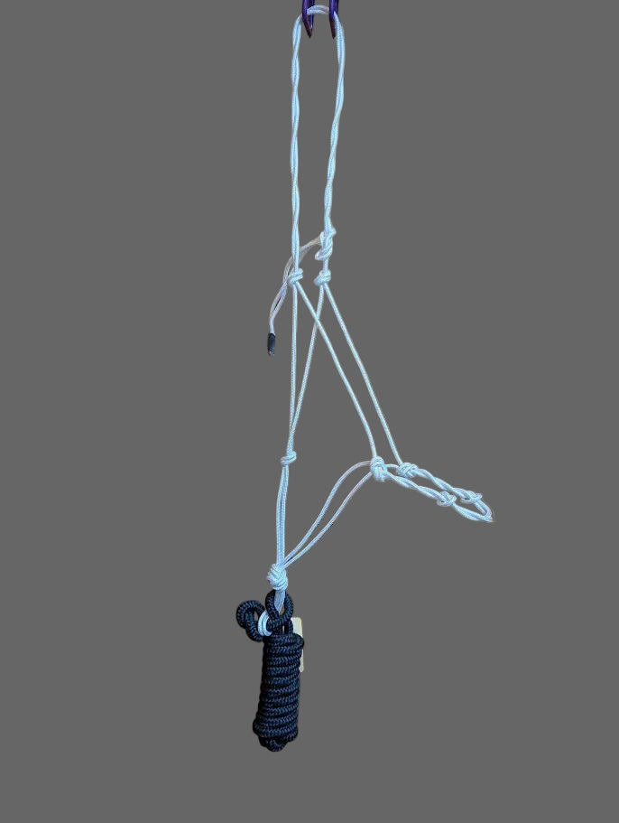 White Cowboy Halter with Black Lead Rope