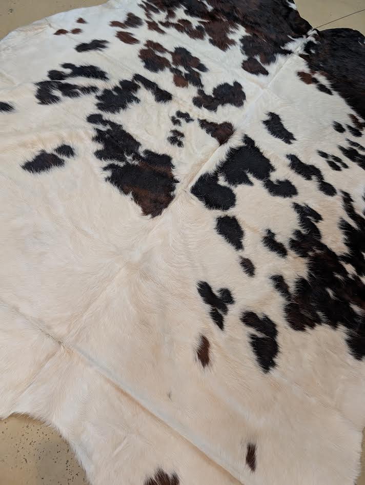 Close-up white and brindle cowhide rug