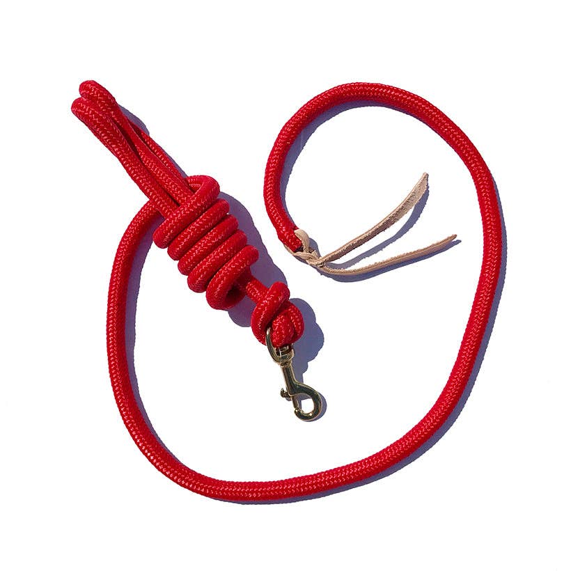 Red rope leash with a metal clasp on a white background