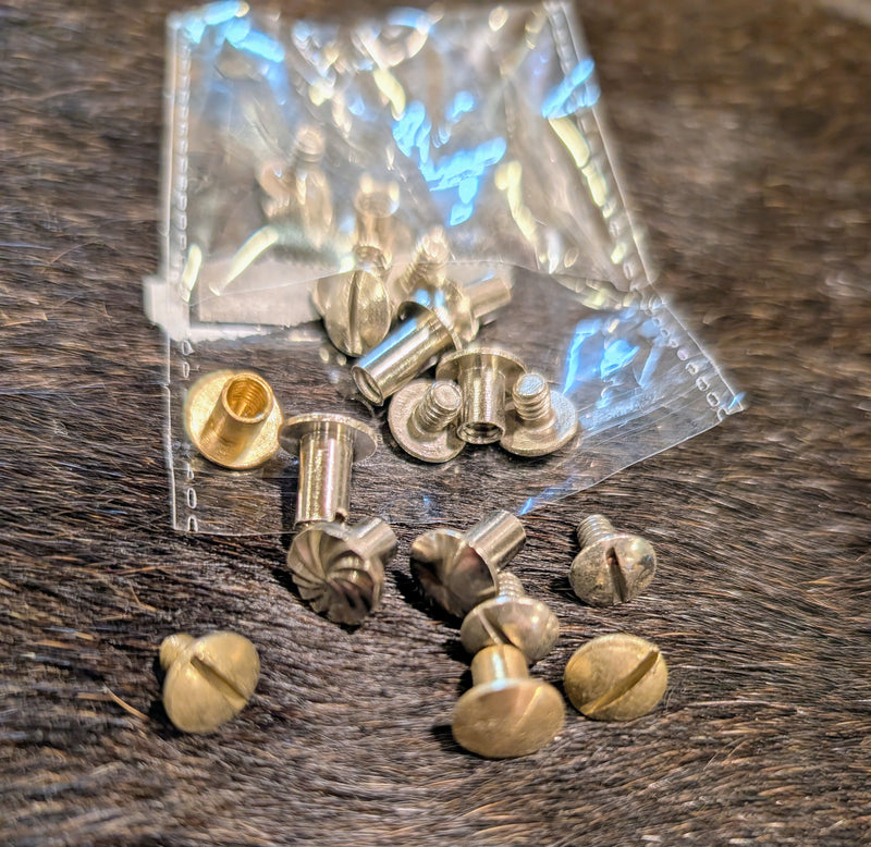 10 pack of assorted chicago screws
