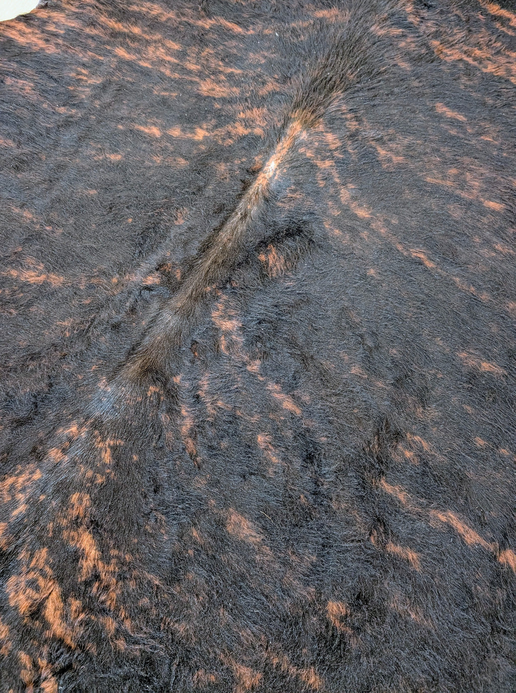 Close view of Bungle a brindle colored cowhide with a slight wave in the grain.