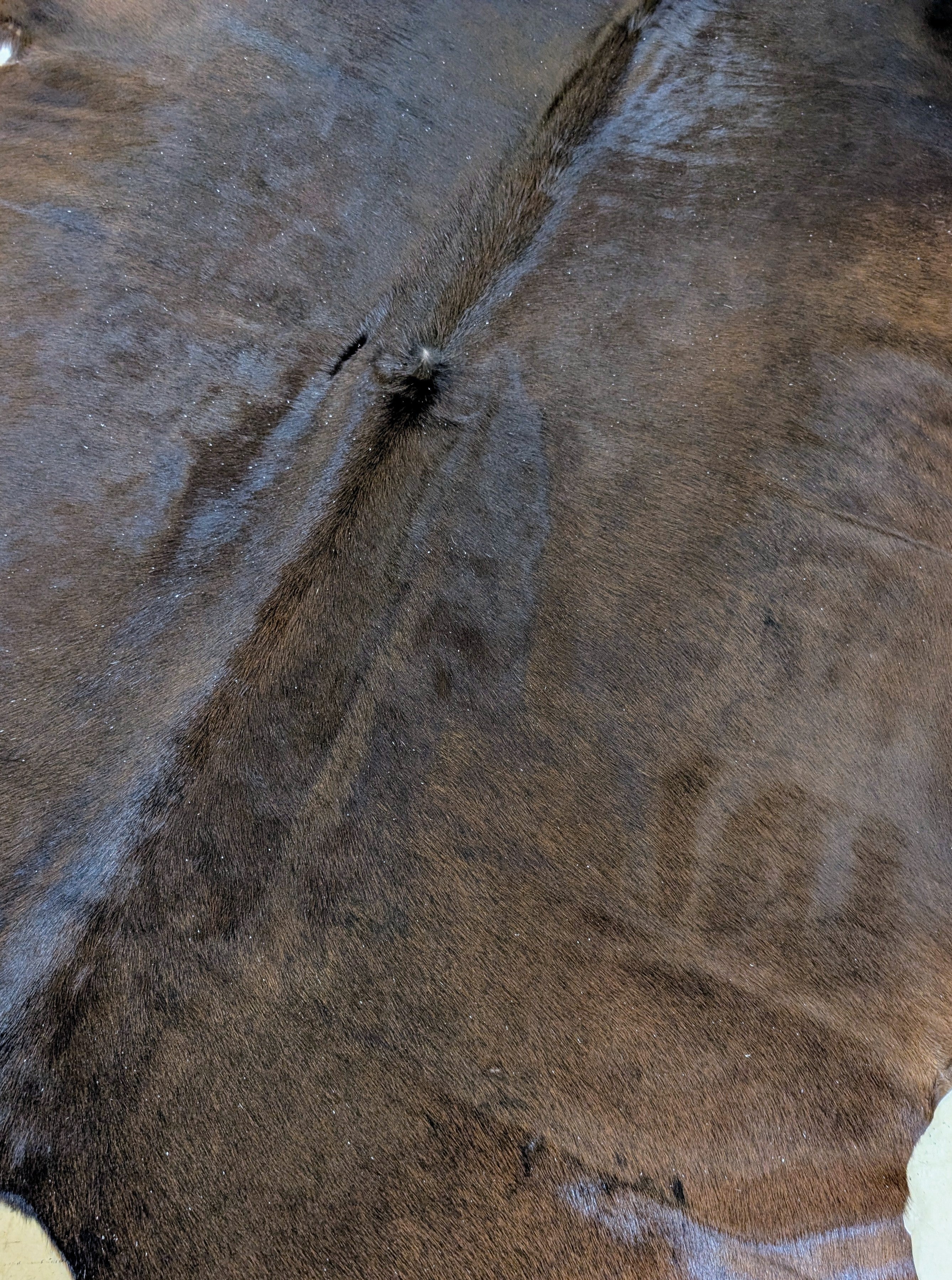"Dandy" Full Cowhide