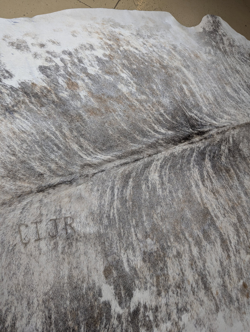 Individually named Diamond a full cowhide with silver brindle coloration, white edges, and tan spots, featuring two brand marks.