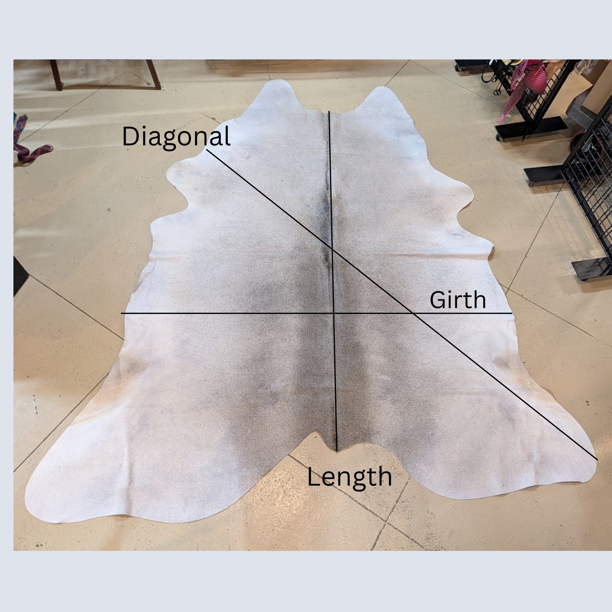 Cowhide shown for measurement diagram only. Measurement take are girth, length and diagonal. 