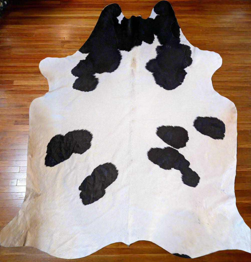 Individually named Stub a white and black spotted cowhide rug laid out on a floor.