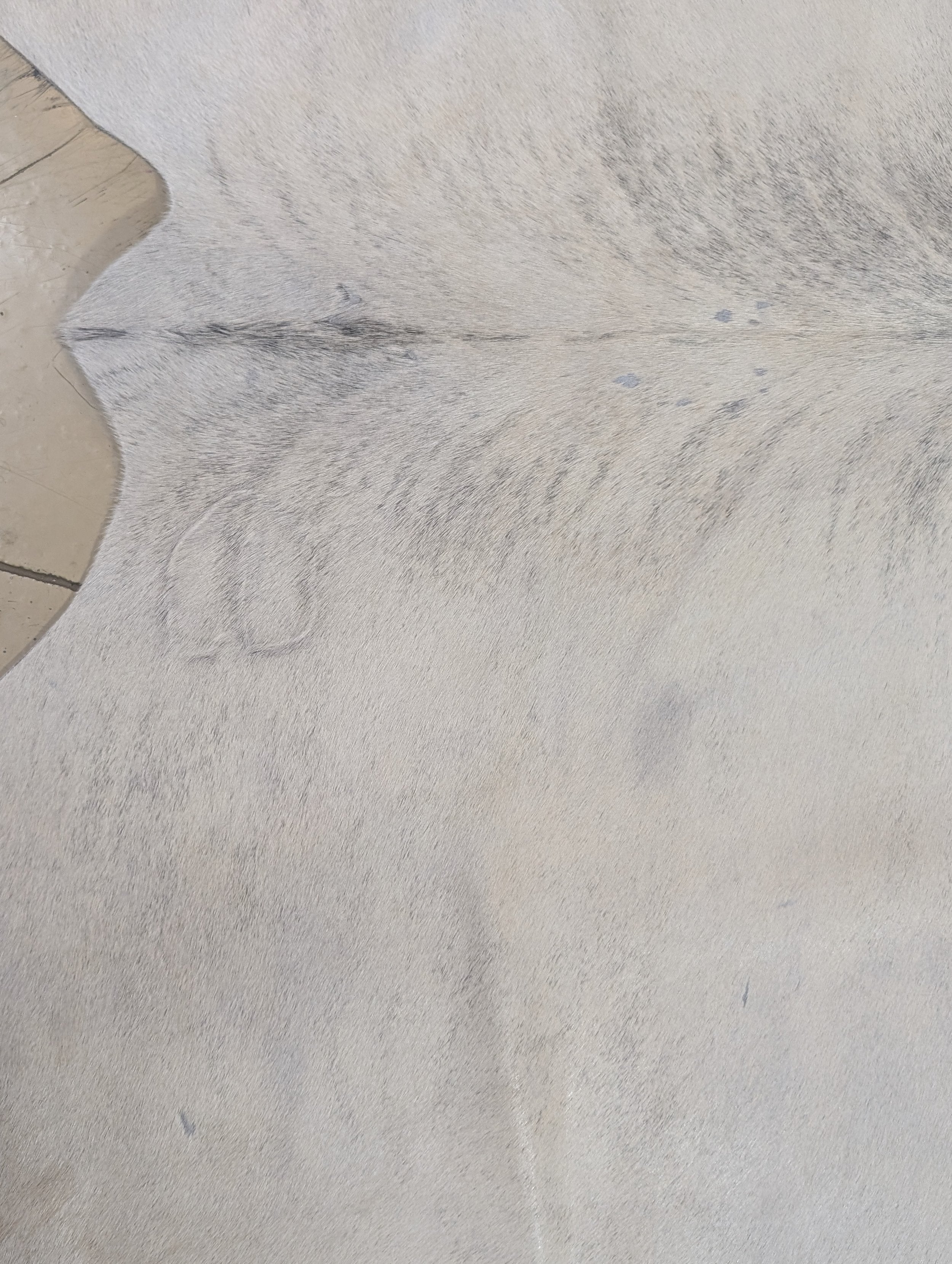 Cowhide Vera close up view of the cattleman's brand located on the right hind quarter.