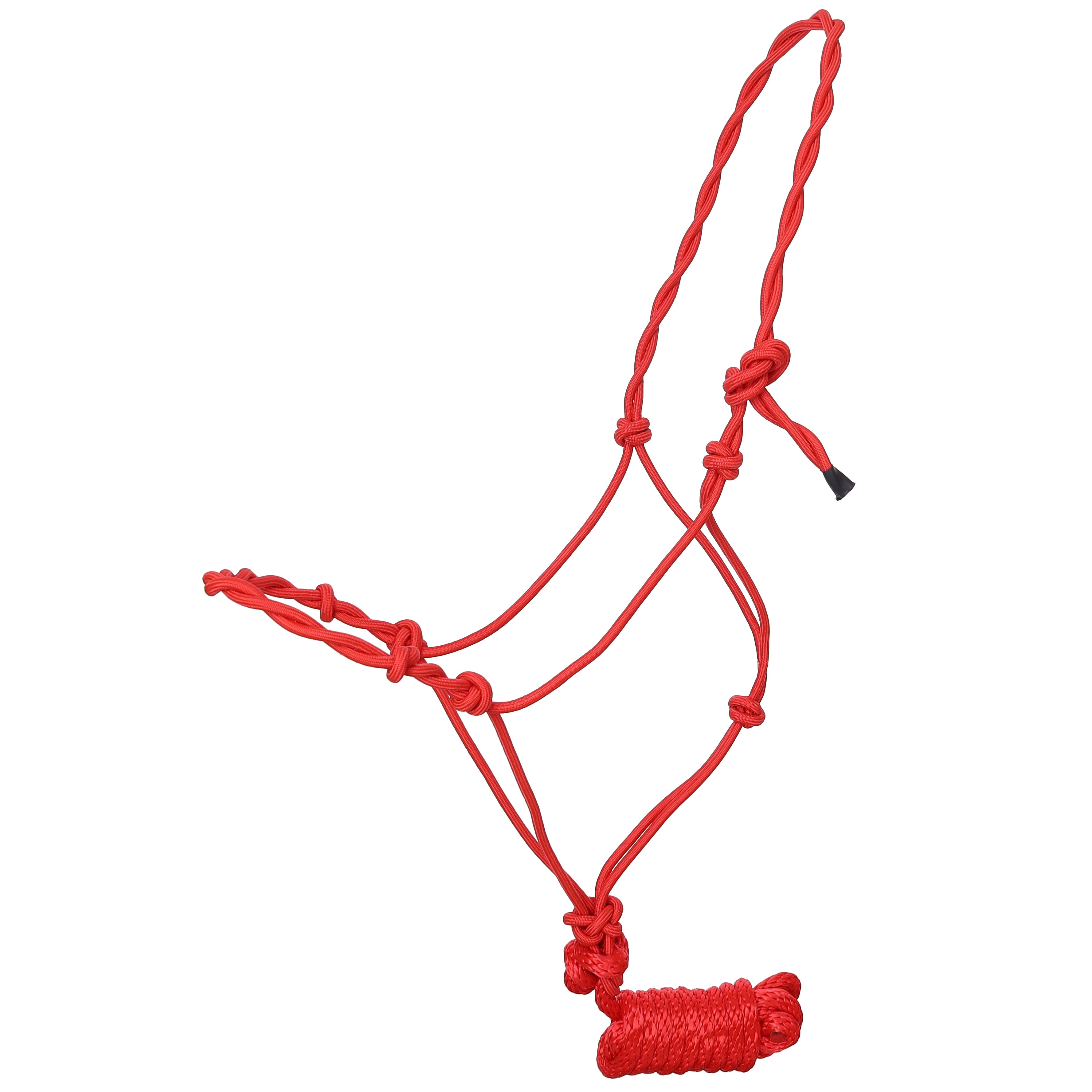 Draft Horse Twisted Cowboy Halter with 10ft Lead