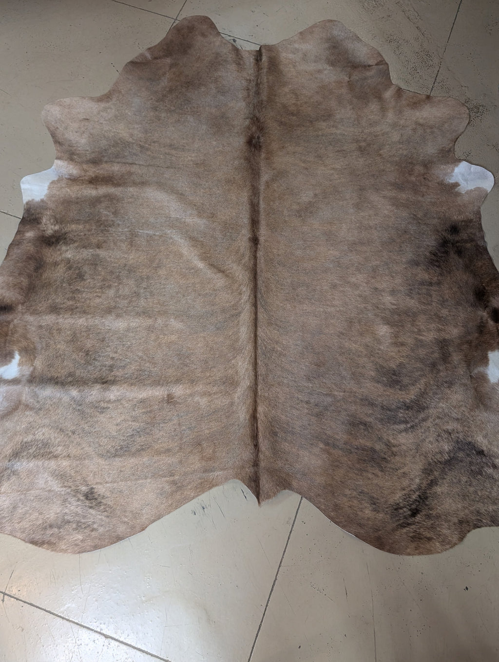 "Goldie" Full Cowhide