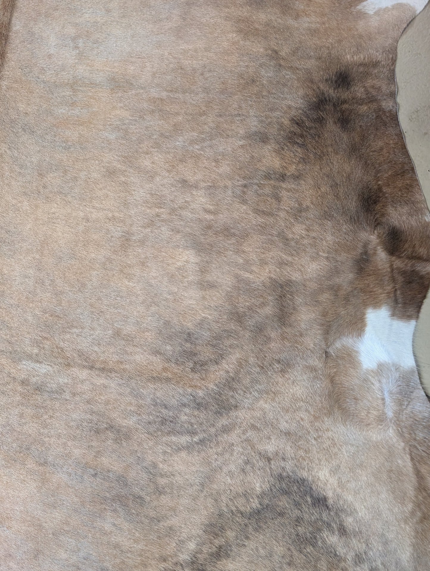 "Goldie" Full Cowhide