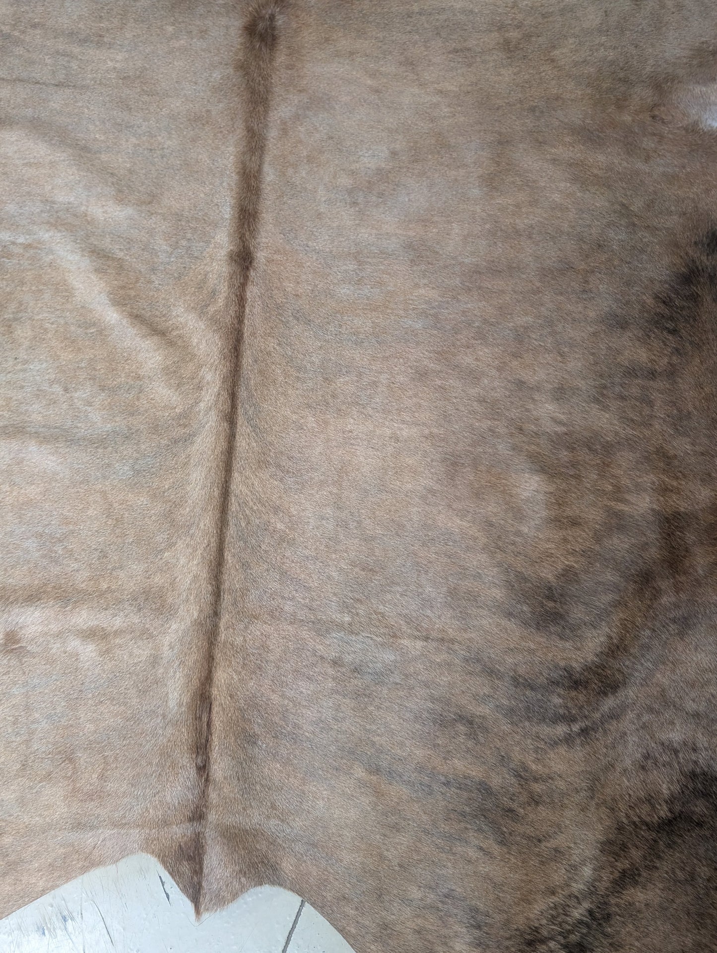 "Goldie" Full Cowhide