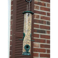 Bird feeder hanging against a brick wall