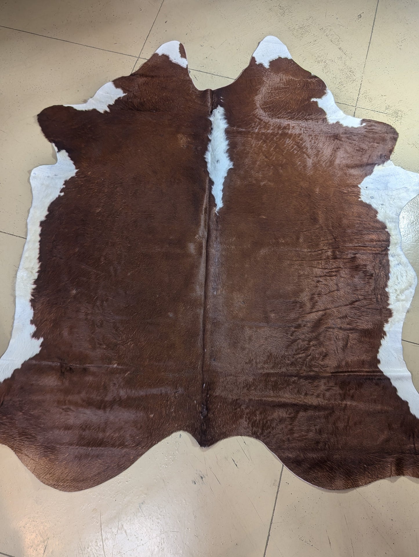 "Henrietta" Full Cowhide